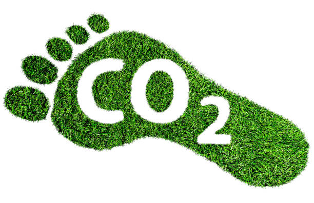 Společnosti Covestro a LANXESS pracují na výrobě udržitelných surovin se sníženou uhlíkovou stopou